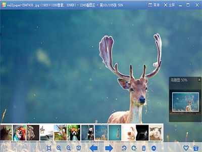 2345看图王产品展示图